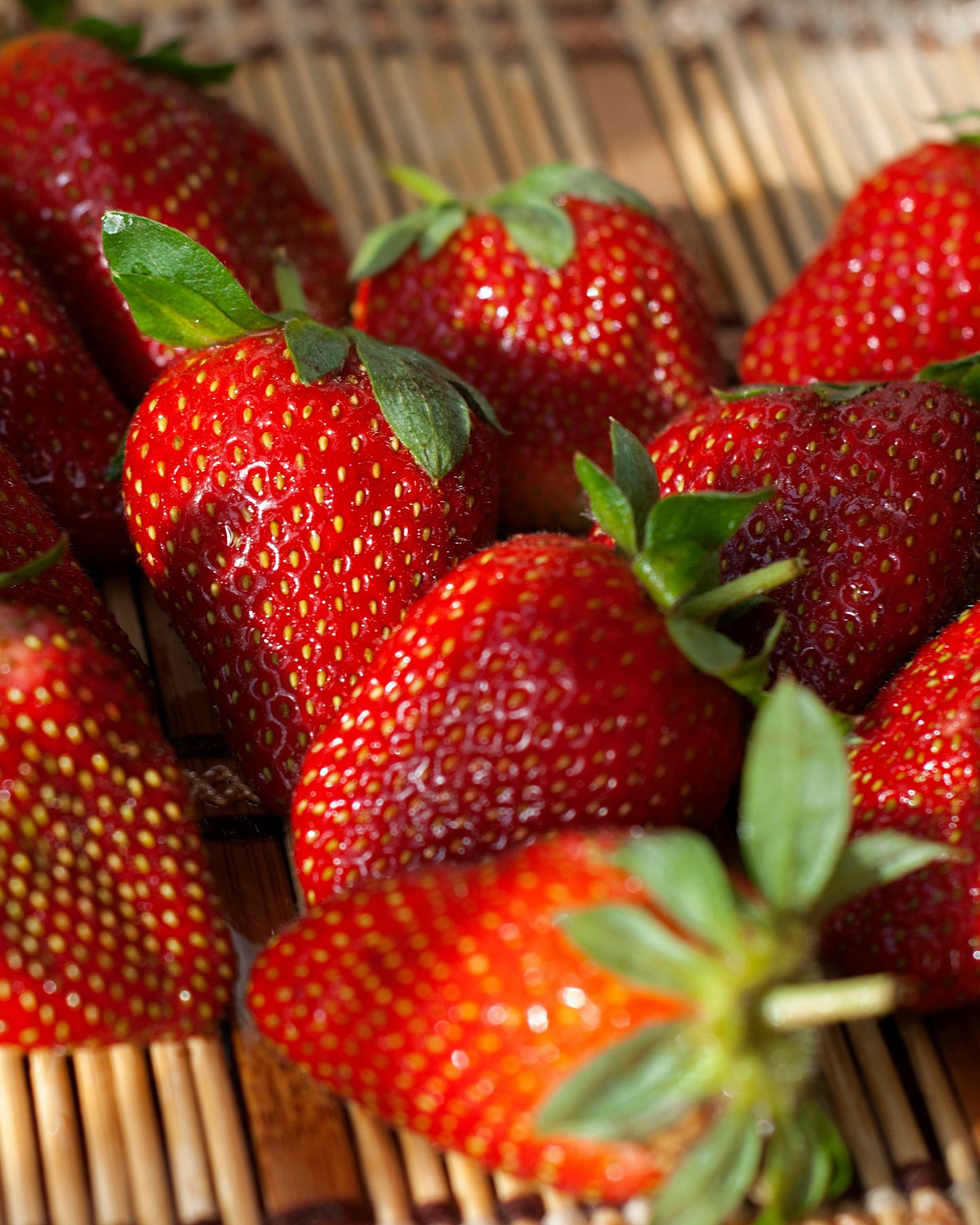 Braškių daigai 'Korona'